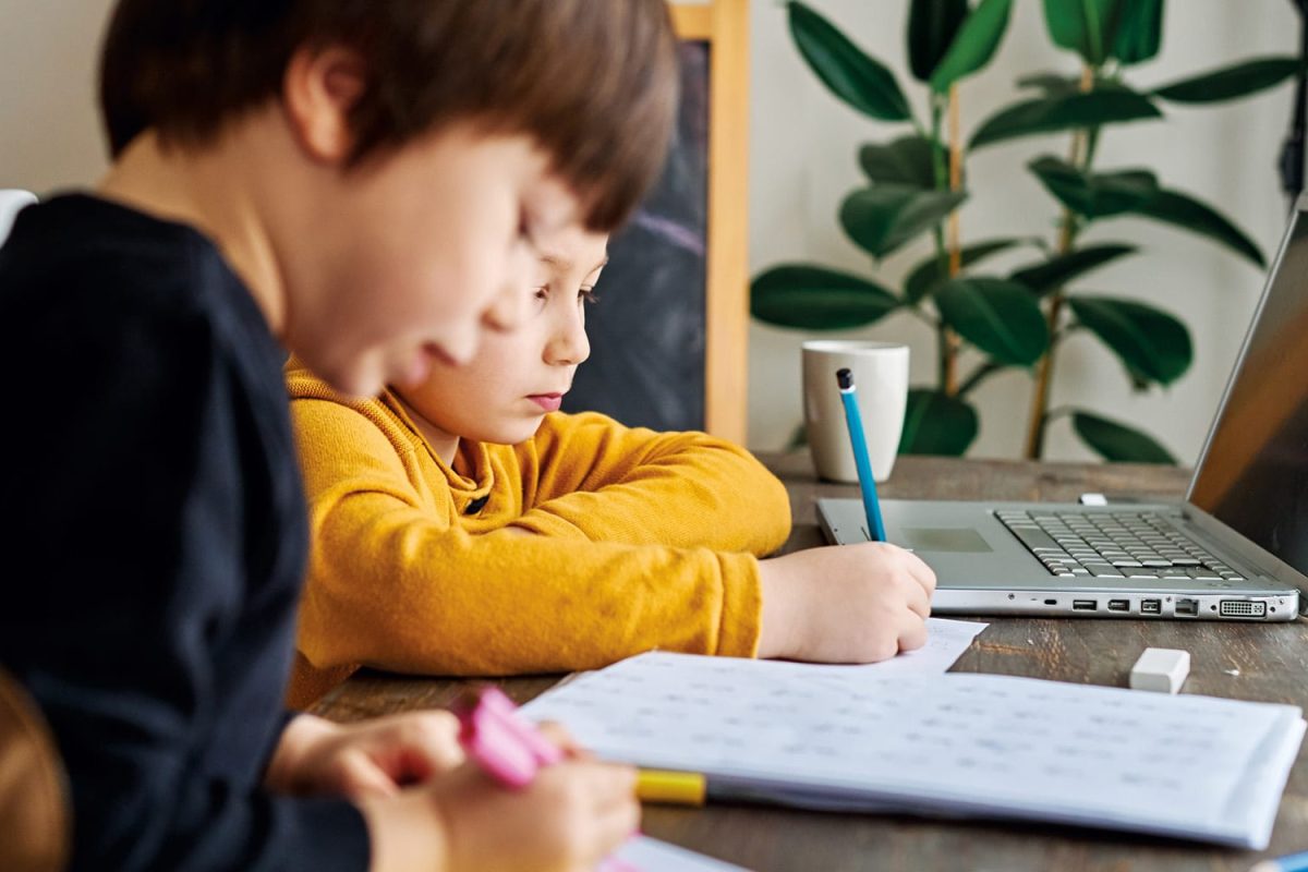 The Current Delusion About Online College Levels: A Treatise decreasing of Public Education
