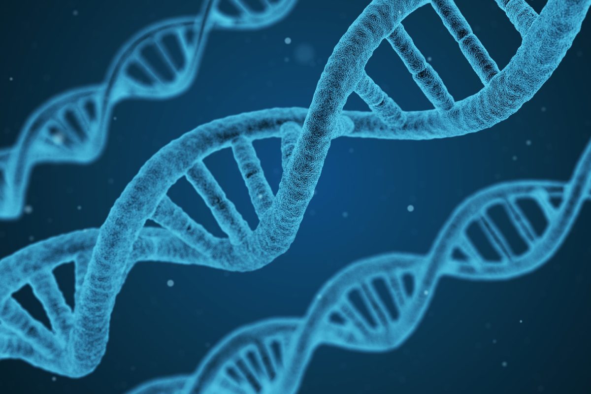 Biological Microscopes and also the Processes of Existence