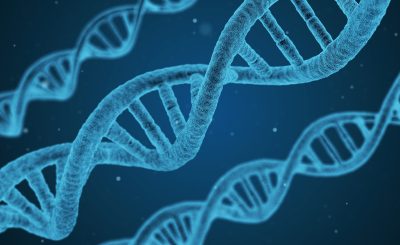 Biological Microscopes and also the Processes of Existence