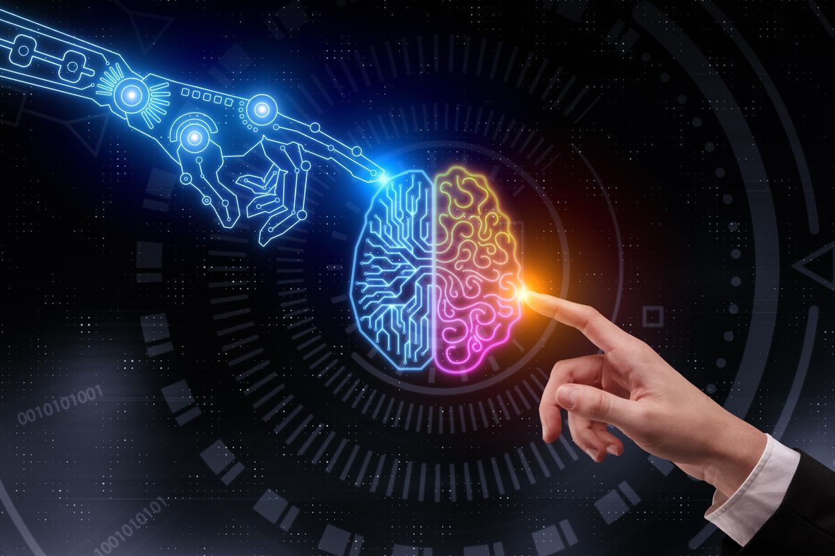 How you can Maximize Learning Biology With Your Personal Biological Microscopes