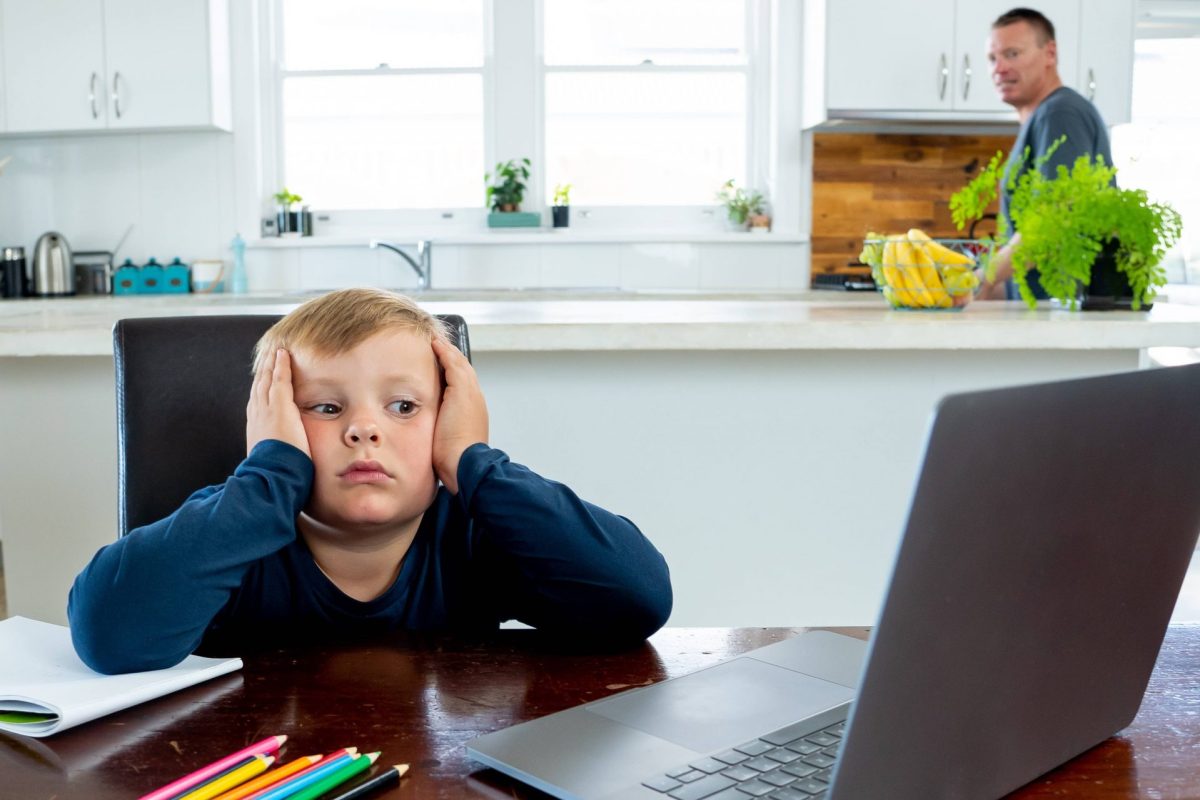 The ABC's of Home Schools