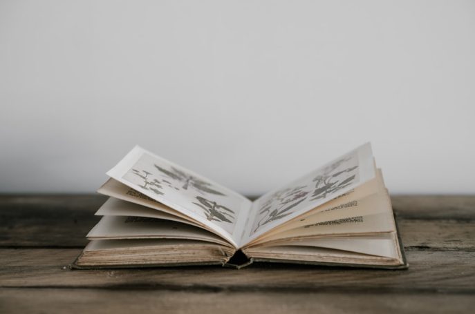 An open book with illustrations on wooden surface
