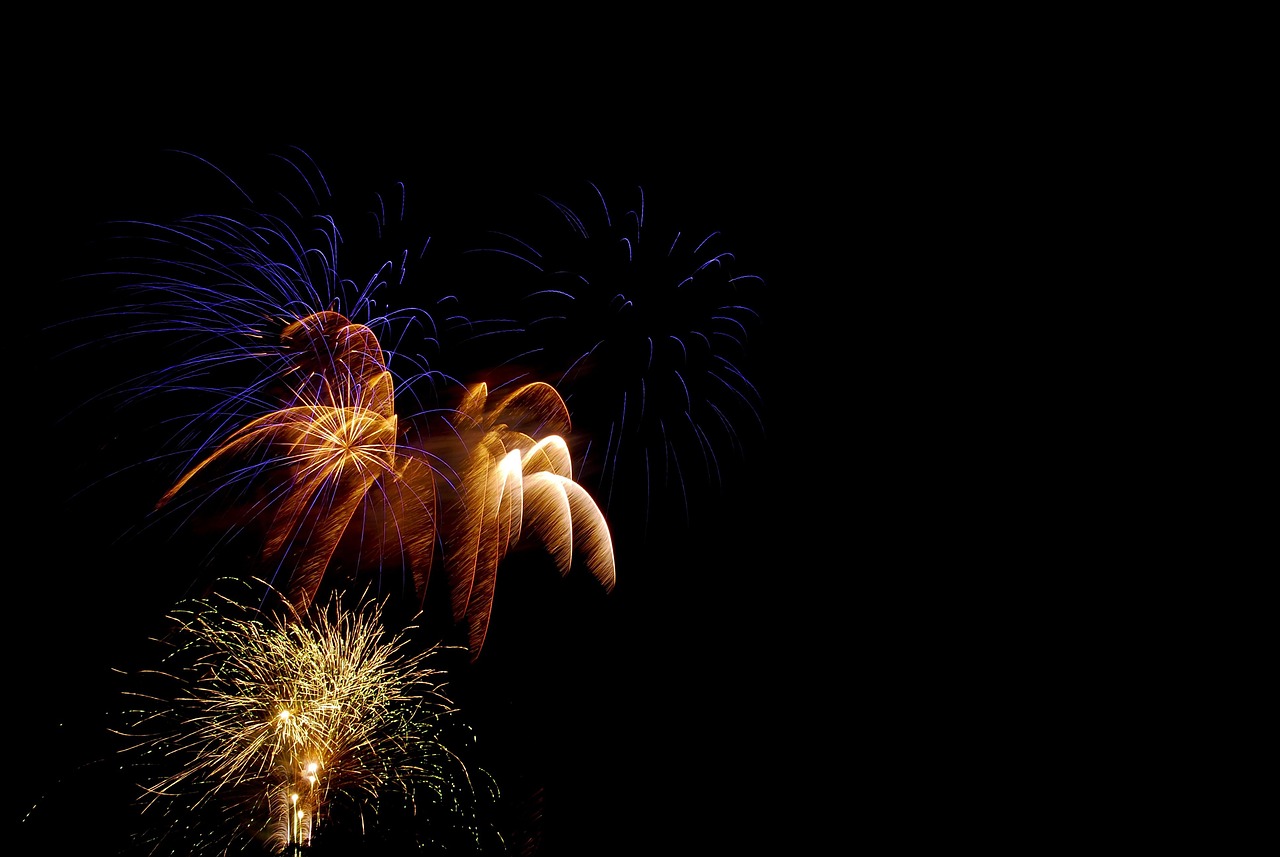 Fireworks, celebration, pyrotechnics — How to Check Transaction History in BDG Game App